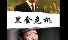 黑金危机 在线观看,揭秘能源危机背后的真相